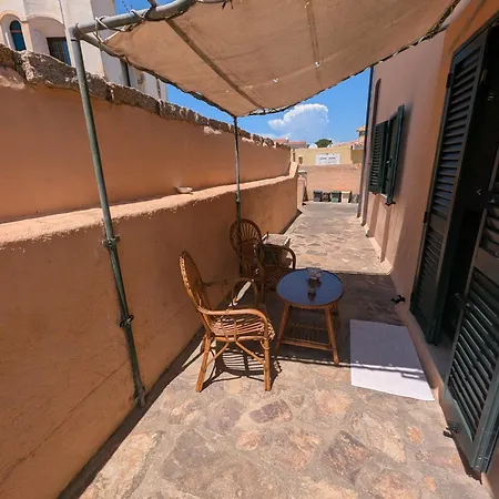 Mavit *